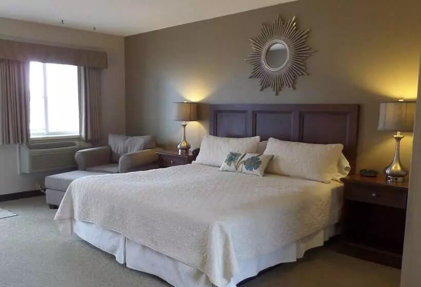 モーテル Roosevelt Inn Of Hyde Park