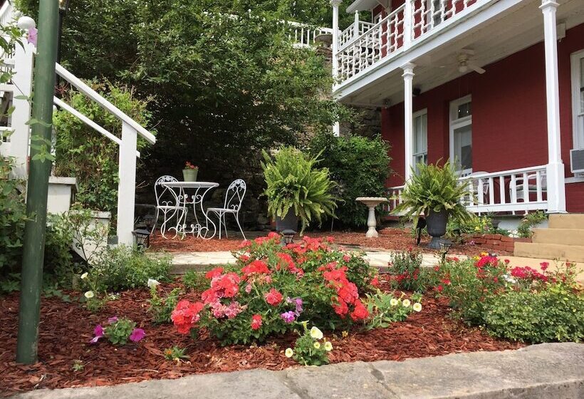 بنسيون Elmwood House