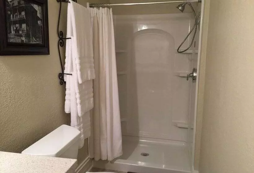 ペンション Elmwood House