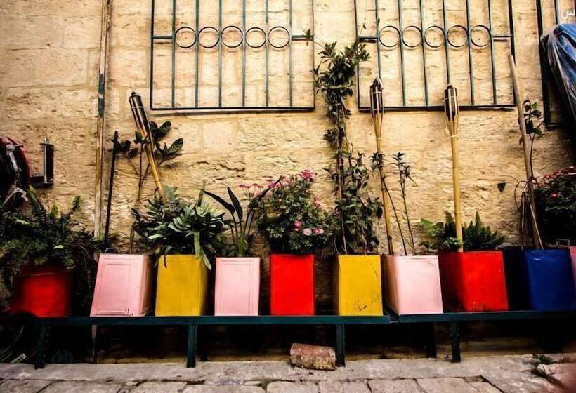 Simsim Guesthouse   Hostel