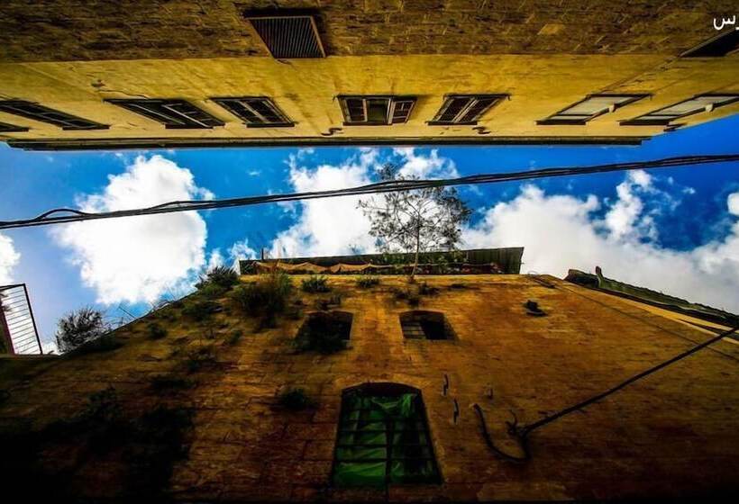 Simsim Guesthouse   Hostel