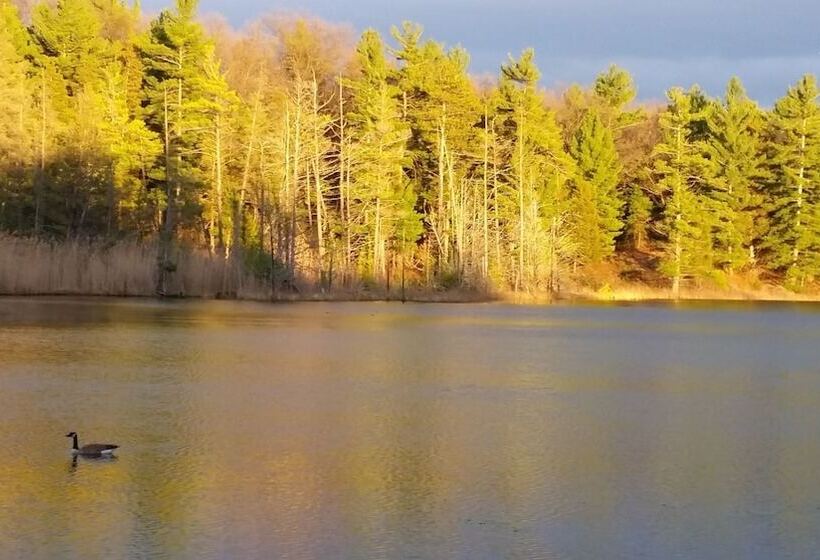 צימר Bee 'n Bee Bed N' Breakfast