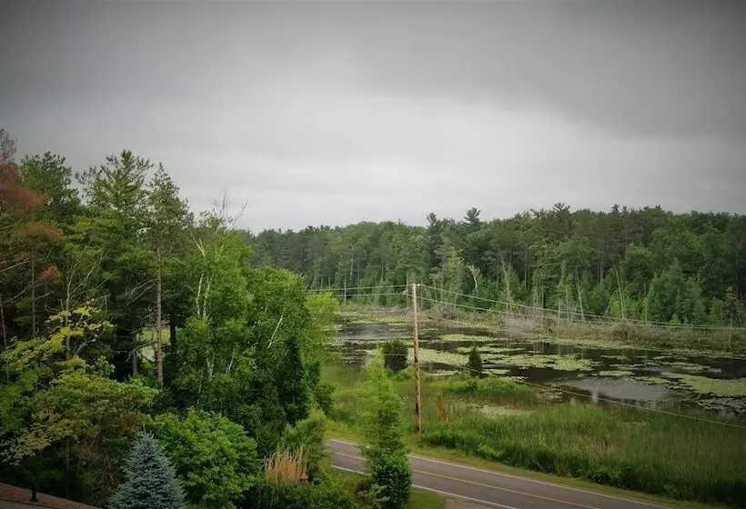 Aamiaismajoitus (B&B) Bee 'n Bee Bed N' Breakfast