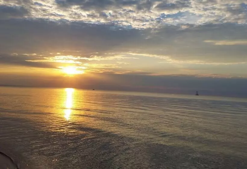 Aamiaismajoitus (B&B) Bee 'n Bee Bed N' Breakfast