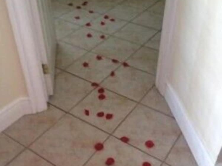 Highlands Four Season Resort