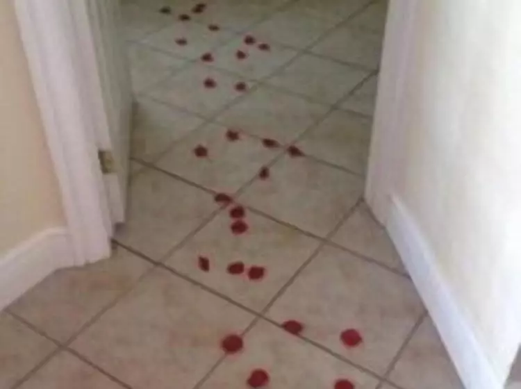 Highlands Four Season Resort