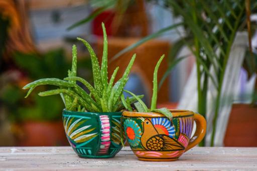 בית מלון כפרי Casa Frida Holbox