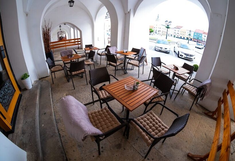 בית מלון כפרי Purkmistr