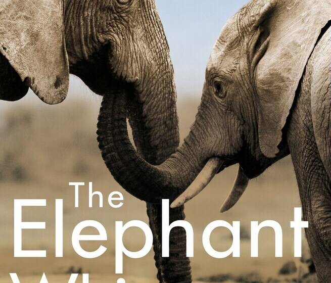 酒店 Thula Thula Game Lodge