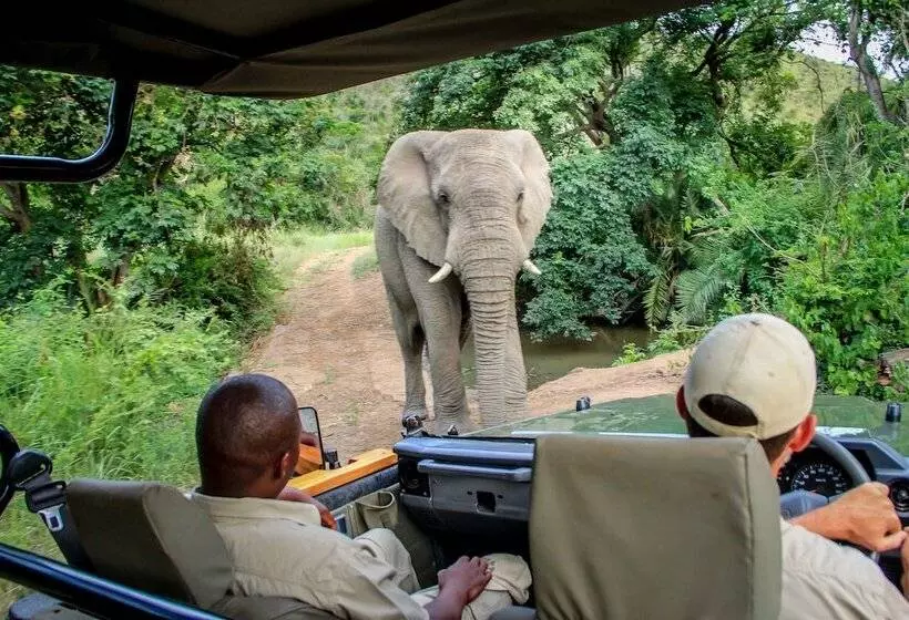 ホテル Thula Thula Game Lodge