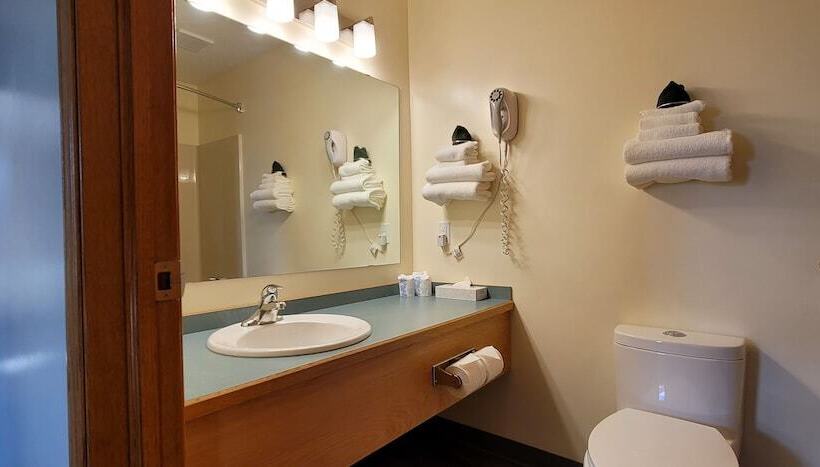 酒店 Woodland Inn Meadow Lake