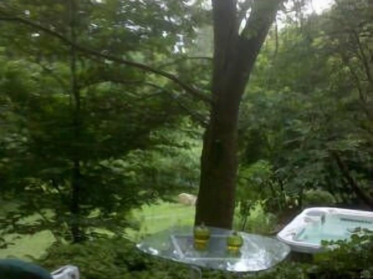 펜션 Chestnut Lodge