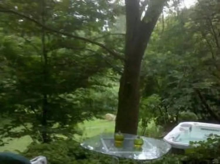 ペンション Chestnut Lodge