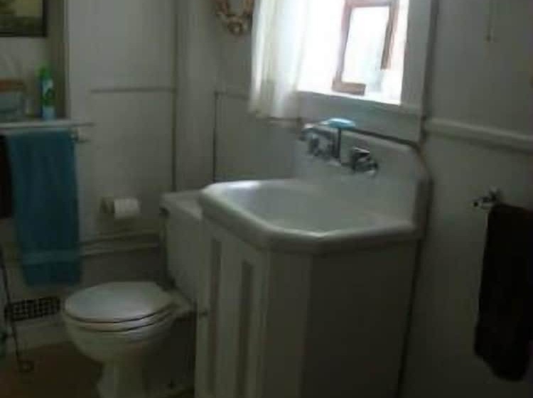 펜션 Chestnut Lodge