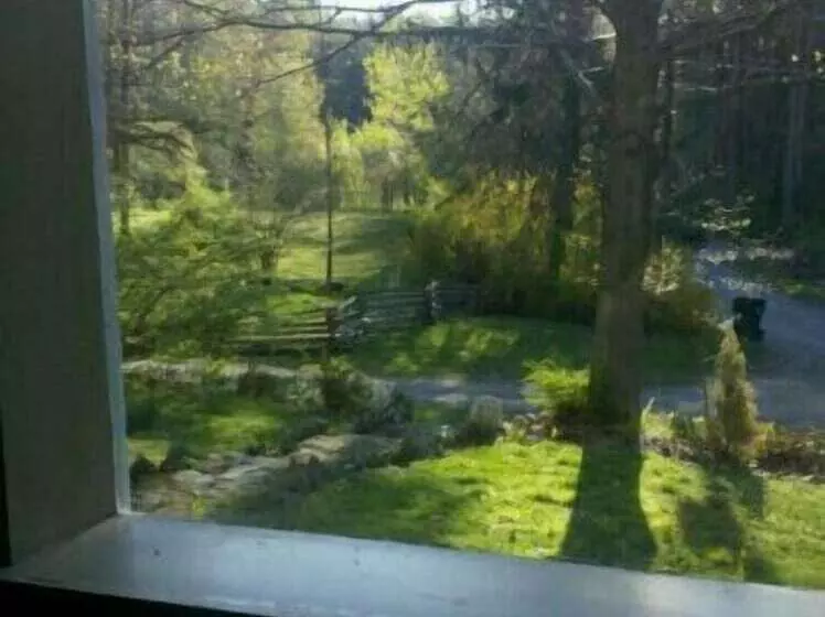 ペンション Chestnut Lodge