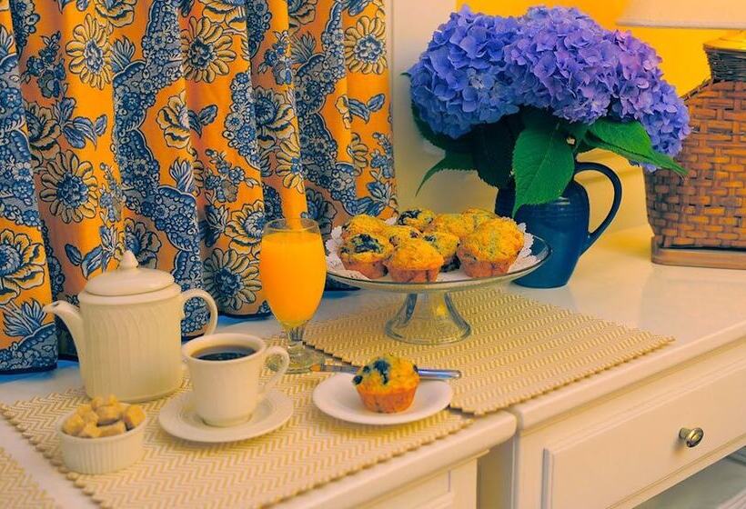 Пансион Languedoc Inn & 3 Hussey St Guest House