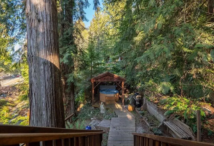 The Tree House Cottage