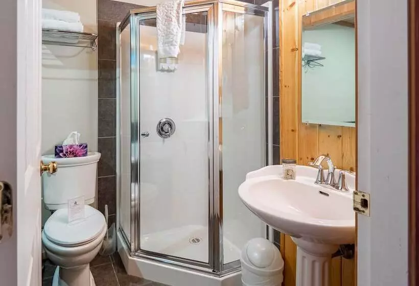 The Tree House Cottage