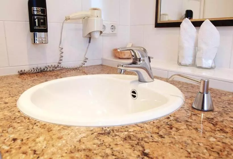 בית מלון כפרי Am Schloss Biebrich