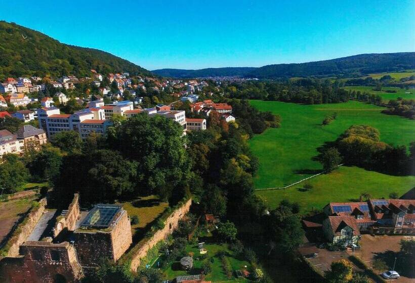 בית מלון כפרי Burg Mühle