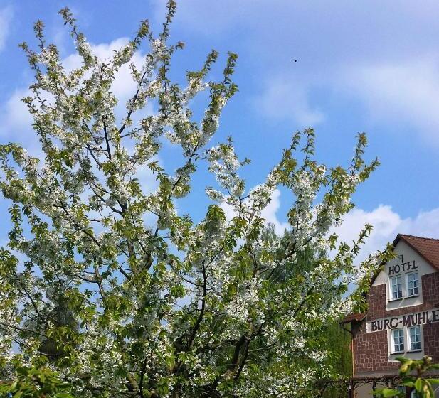 בית מלון כפרי Burg Mühle