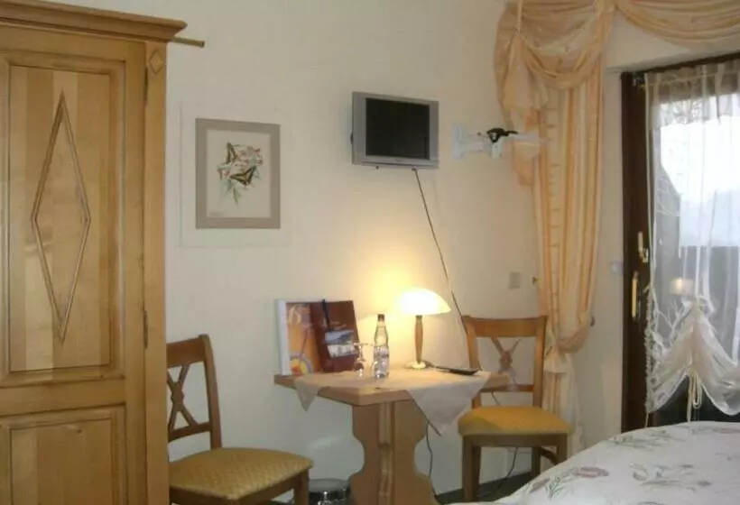 酒店 Dachsberger Hof