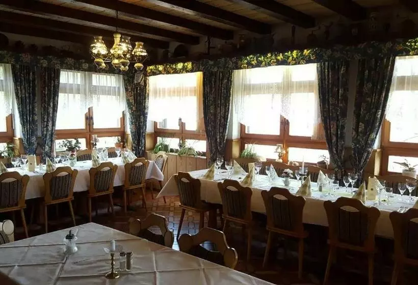 酒店 Dachsberger Hof