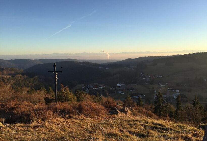 Hotel Dachsberger Hof