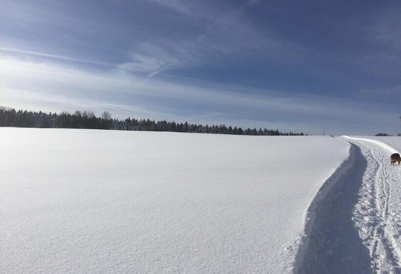 Hotel Dachsberger Hof