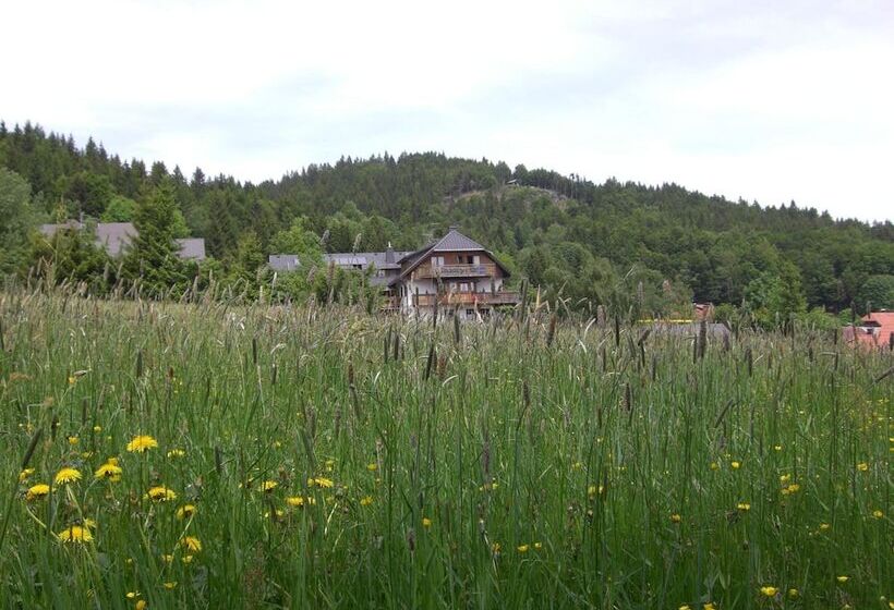 Hotel Dachsberger Hof