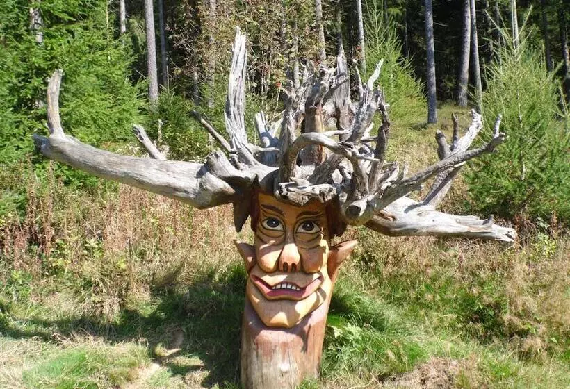 酒店 Dachsberger Hof