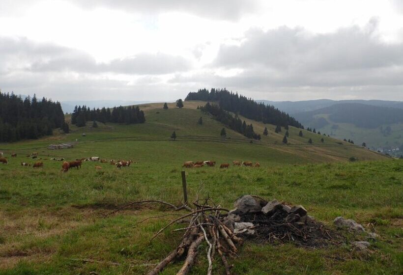 Hotel Dachsberger Hof