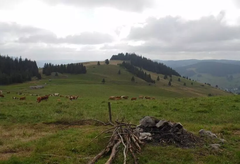 酒店 Dachsberger Hof