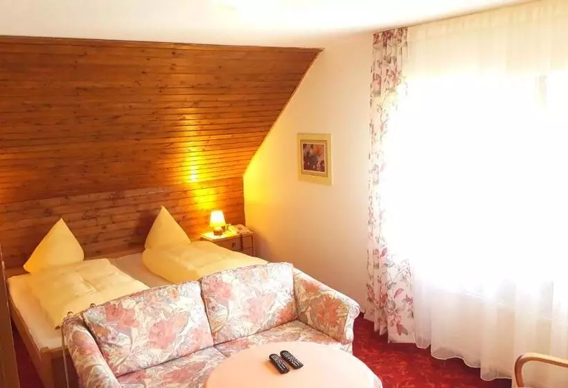 酒店 Dachsberger Hof