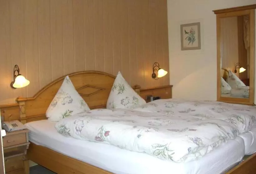 酒店 Dachsberger Hof