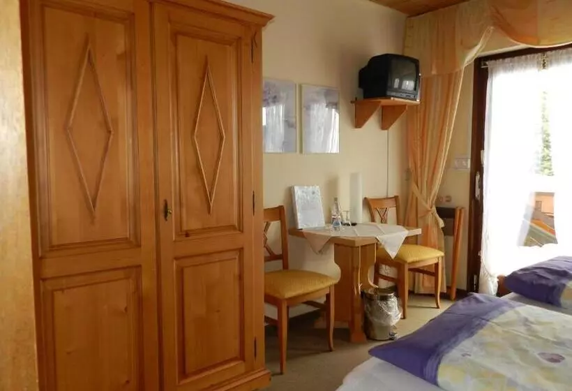 酒店 Dachsberger Hof