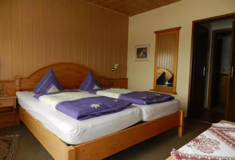 酒店 Dachsberger Hof