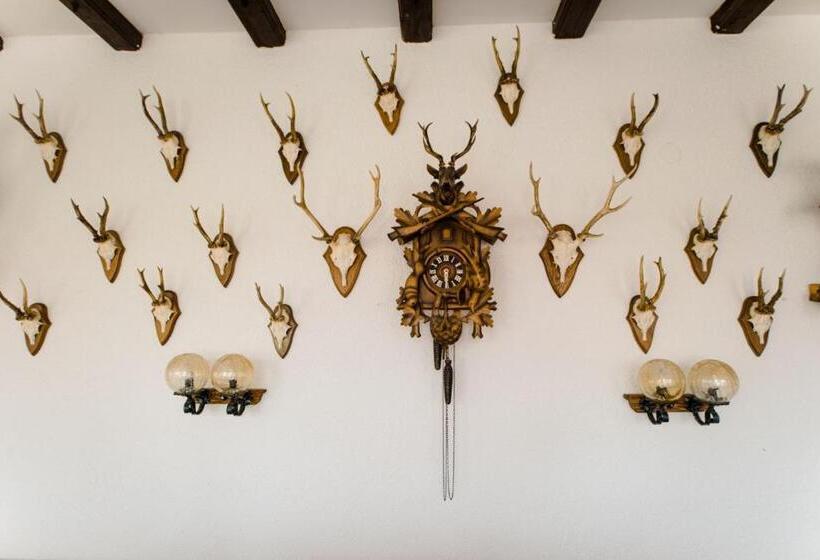 Hotel Dachsberger Hof