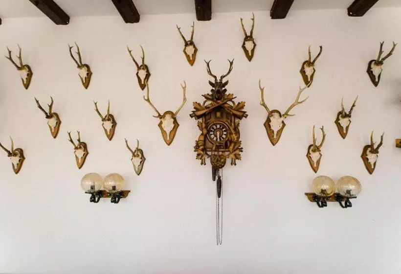 酒店 Dachsberger Hof