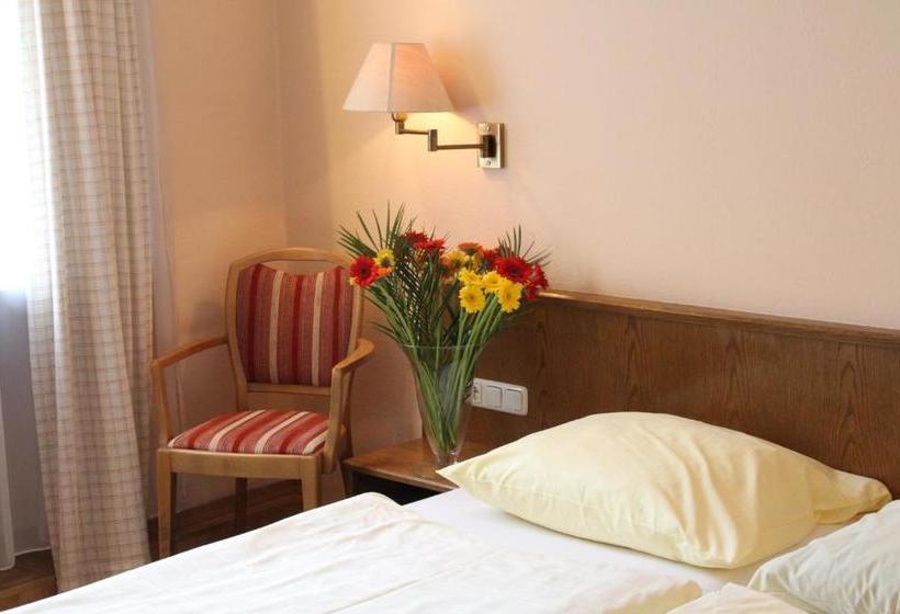 Отель El Loquito