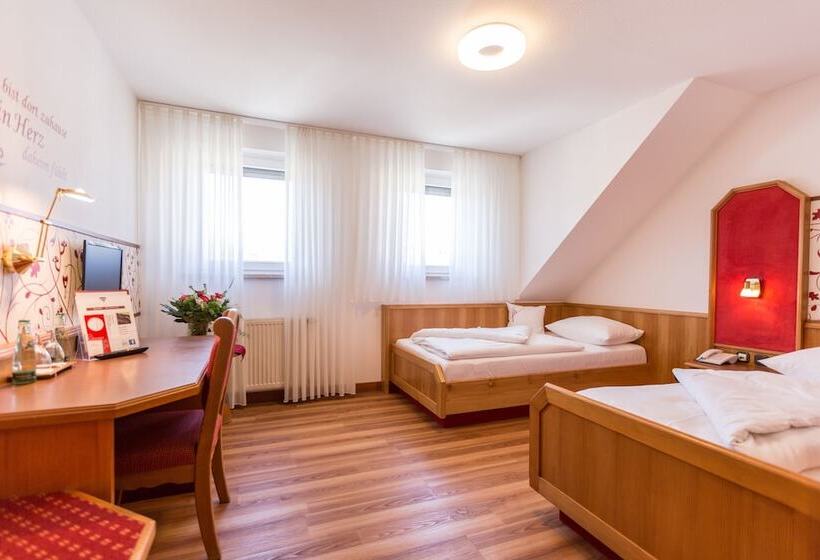 Отель Fränkischer Hof