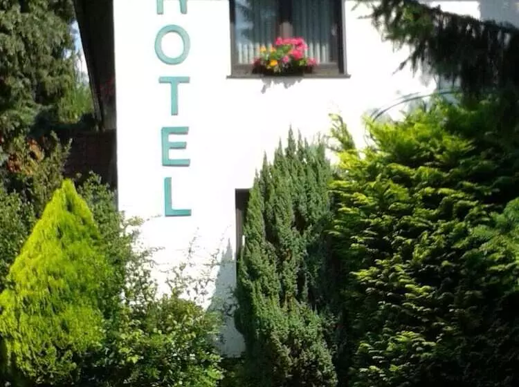 בית מלון כפרי Froschkönig