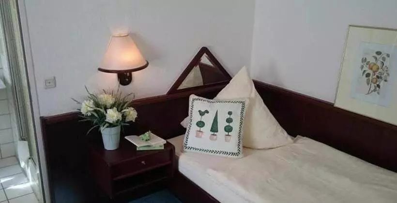 בית מלון כפרי Froschkönig