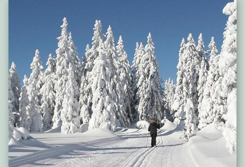 Garnihotel Arberblick