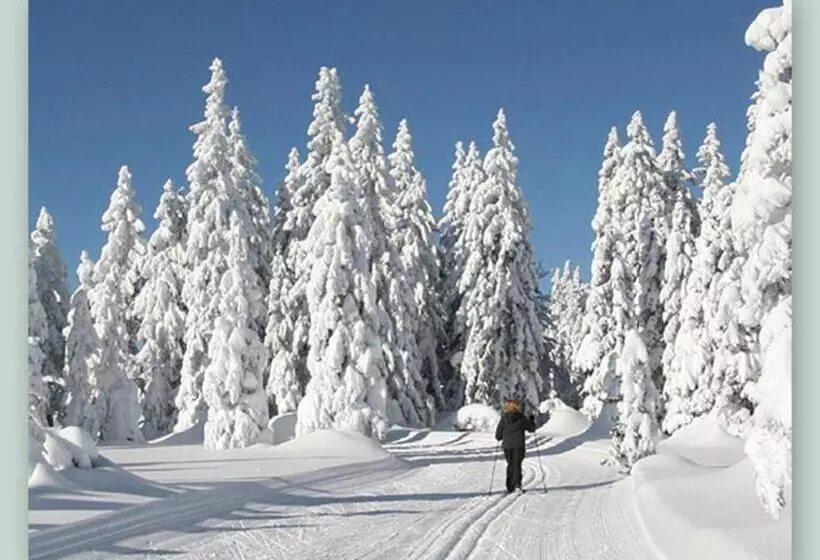 Garnihotel   Arberblick