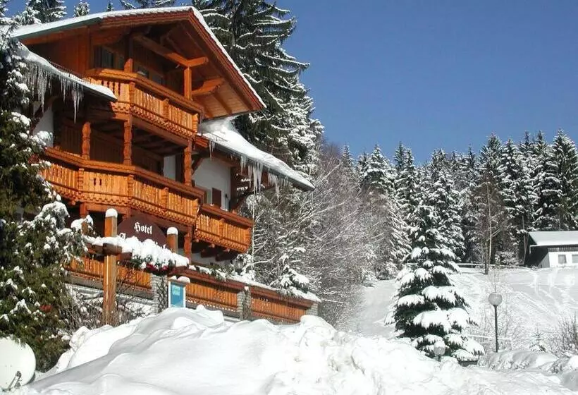 Garnihotel   Arberblick