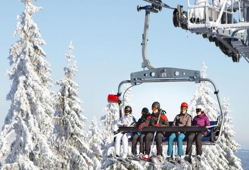 Garnihotel Arberblick