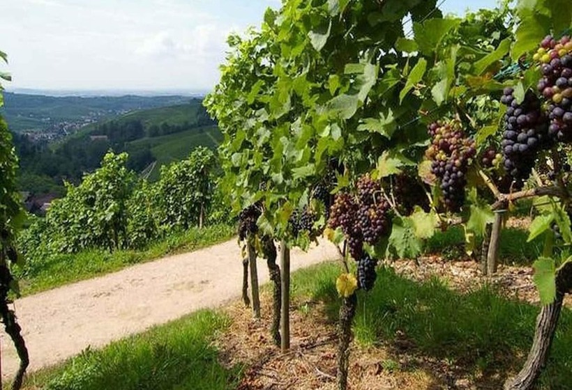 Hotel Gasthaus Hohberg