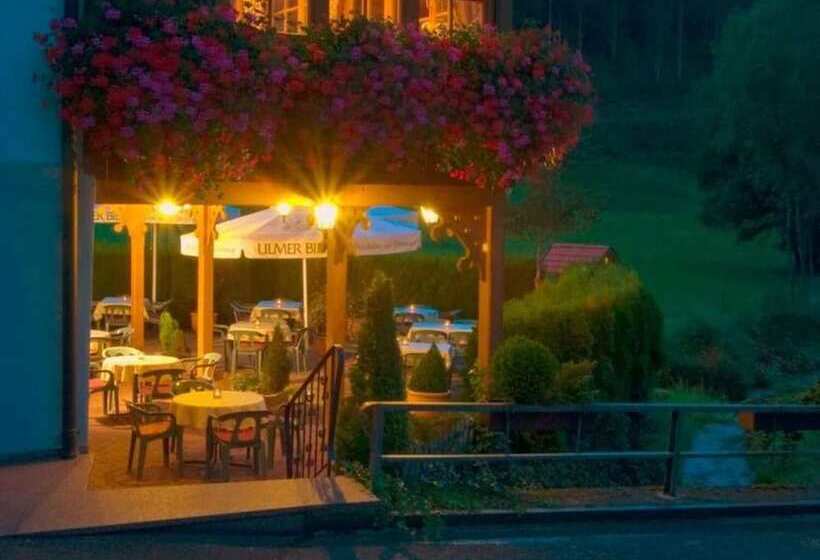 Hotel Gasthaus Hohberg