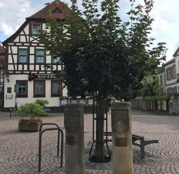 Отель Krone Post